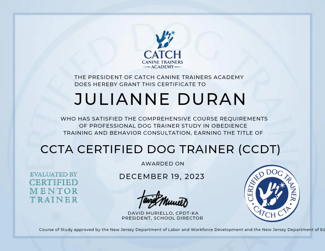 CATCH Canine Trainers Academy certificate: Julianne Duran, CCTA Certified Dog Trainer, awarded December 19, 2023