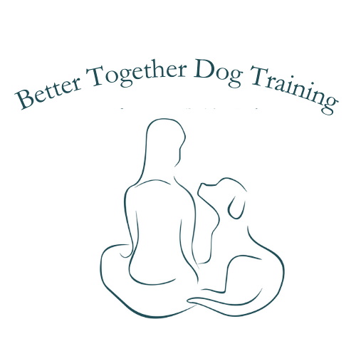 Better Together Dog Training